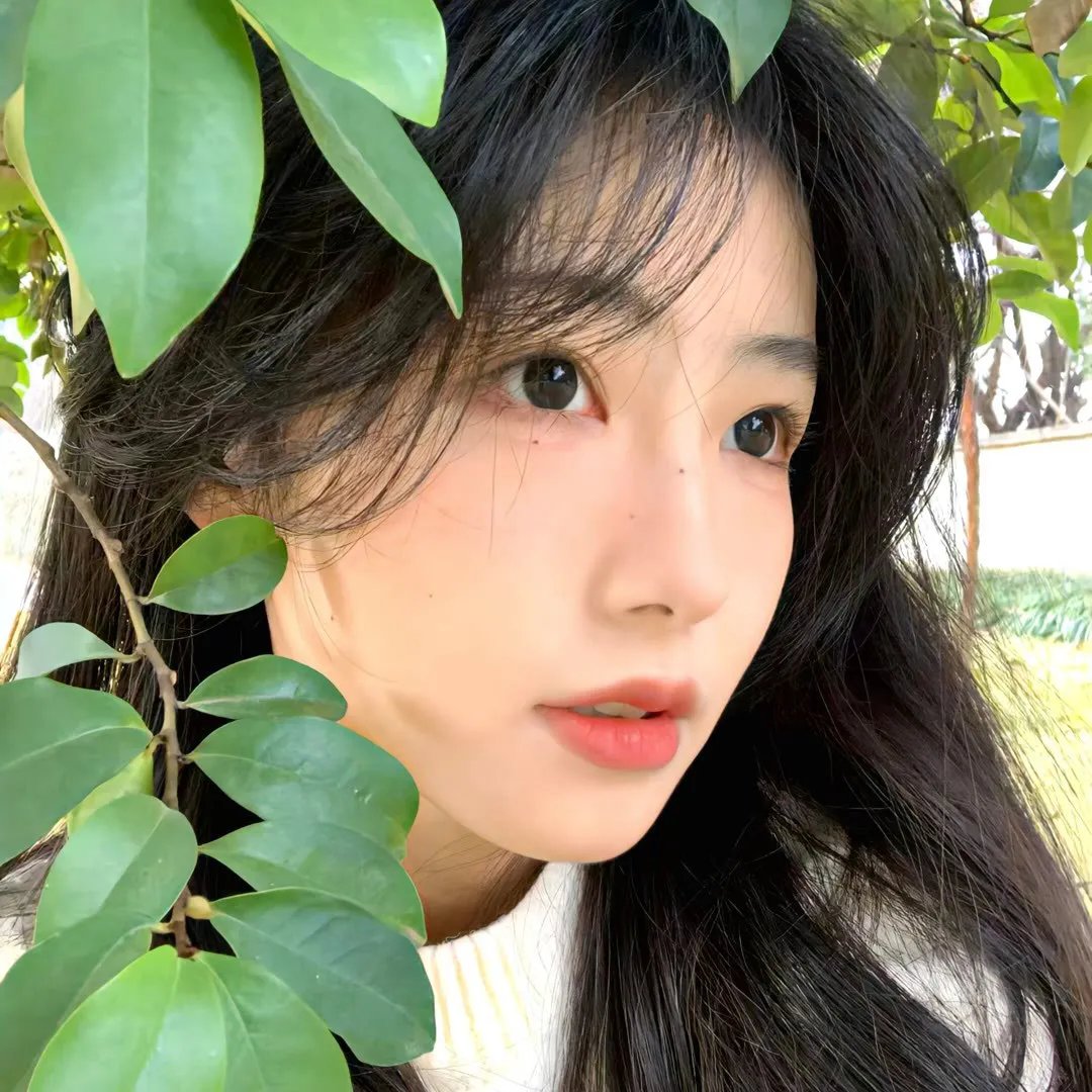 我家那闺女2024